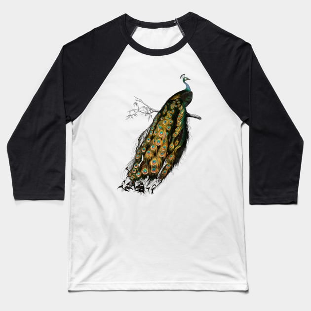 Vintage indian peafowl bird-animalia clothing Baseball T-Shirt by Phantom Troupe